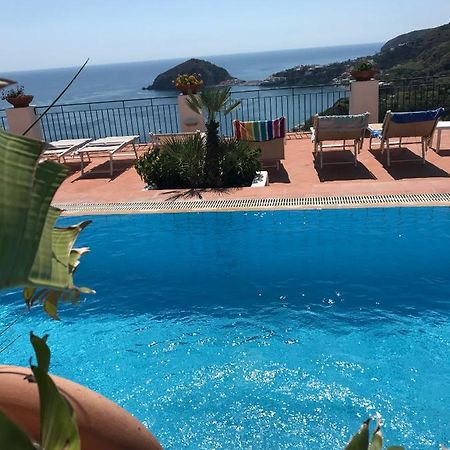 L' Ulivo Villa Nunzia Barano dʼIschia Eksteriør bilde