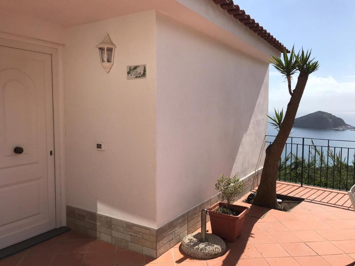 L' Ulivo Villa Nunzia Barano dʼIschia Eksteriør bilde